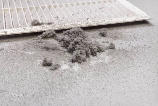 Best HVAC System Cleaning  in Trainer, PA